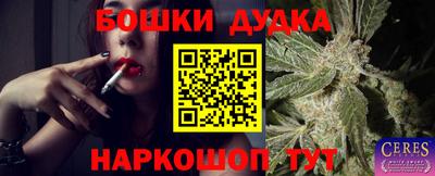 jwh Дубна