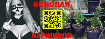 индика Гусь-Хрустальный