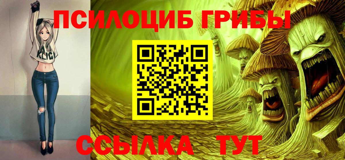 Мичуринск  Галлюциногенные грибы MAGIC MUSHROOMS  Псилоцибиновые грибы мицелий  Вход с VPN 